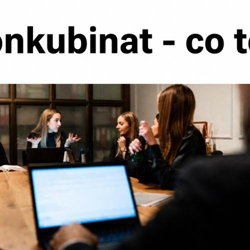 Rozliczenie konkubinatu, podział majątku, dział spadku, zniesienie współwłasności 
